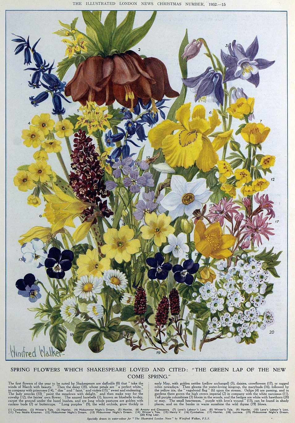 shakespeares spring flowers